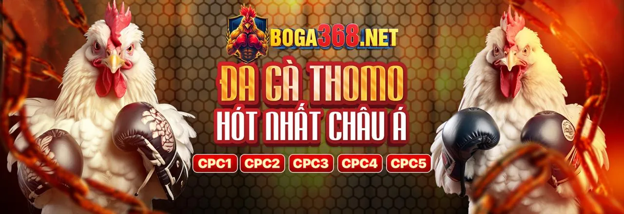 Đá Gà Trực Tuyến F8BET Hấp Dẫn