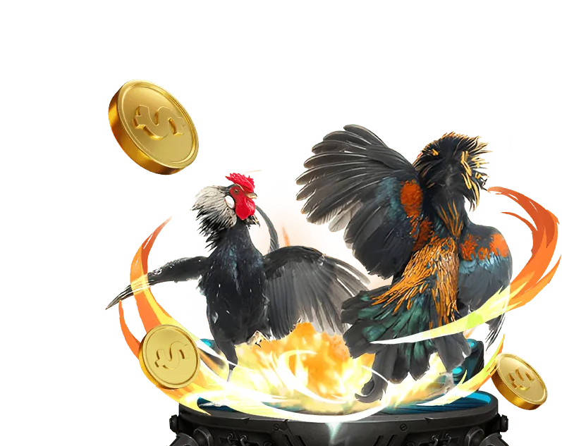 Kèo cược đa dạng