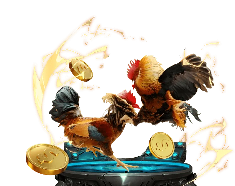 Chương trình hoàn trả hàng tuần Thabet